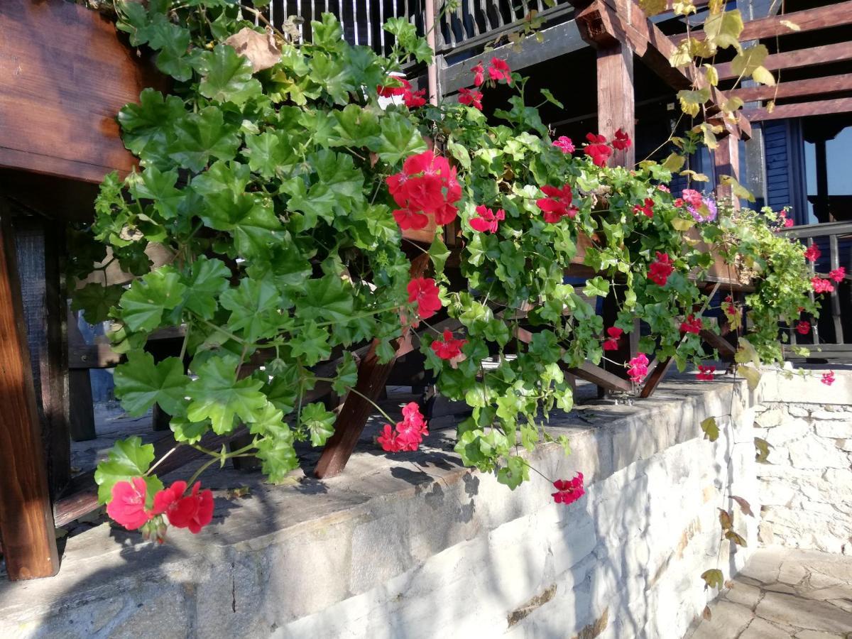 Trifon Zarezan Family Hotel Glavatartsi Εξωτερικό φωτογραφία
